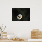 Kosmopolitische Biene Poster (Küche)