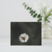 Kosmopolitische Biene Postkarte (Stehend Vorderseite)
