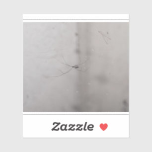 kosmopolitische Kellerspinne Aufkleber