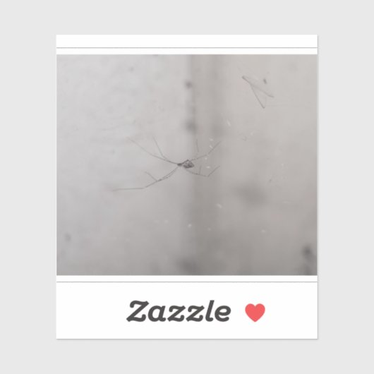 kosmopolitische Kellerspinne Aufkleber (Blatt)