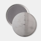 kosmopolitische Kellerspinne Magnet (Vorderseite/Rückseite)