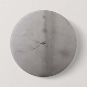kosmopolitische Zitterspinne Button