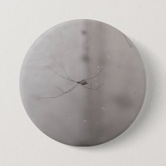kosmopolitische Zitterspinne Button (Vorderseite)