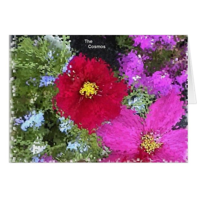 Kosmos (Vorderseite (Horizontal))