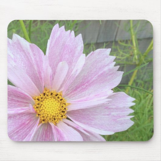 Kosmos - Blassrosa und Grün — Mousepad (Vorne)
