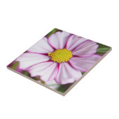 Kosmos-Blume (Bidens formosa) Fliese (Seite)