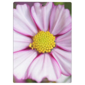 Kosmos-Blume (Bidens formosa) Klemmbrett (Rückseite)