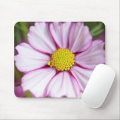 Kosmos-Blume (Bidens formosa) Mousepad (Mit Mouse)