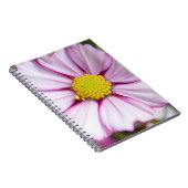 Kosmos-Blume (Bidens formosa) Notizblock (Rechte Seite)