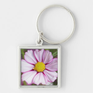 Kosmos-Blume (Bidens formosa) Schlüsselanhänger