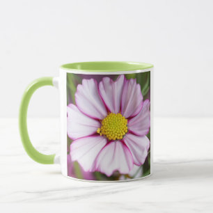 Kosmos-Blume (bidens formosa) Tasse