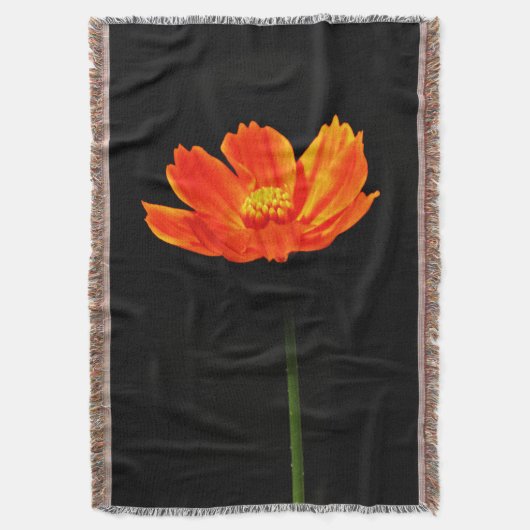 Kosmos-Blume Decke (Vorderseite Vertikal)