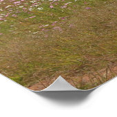 Kosmos-Blume entlang des Zauns Poster (Ecke)