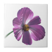 Kosmos-Blume Fliese (Vorderseite)