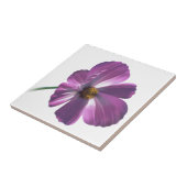 Kosmos-Blume Fliese (Seite)