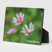 Kosmos-Blume Fotoplatte (Seite)