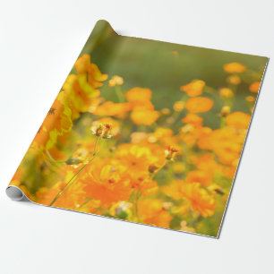 Kosmos-Blume im Bereich der Provinz Lumphun Geschenkpapier