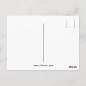 Kosmos-Blume: Japan Postkarte (Rückseite)