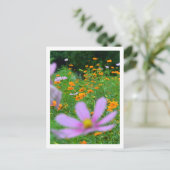 Kosmos-Blume: Japan Postkarte (Stehend Vorderseite)