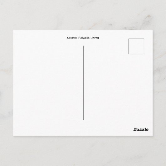 Kosmos-Blume: Japan Postkarte (Rückseite)
