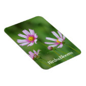 Kosmos-Blume Magnet (Rechte Seite)