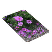 Kosmos-Blume mit Kies Magnet (Rechte Seite)