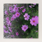 Kosmos-Blume mit Kies Puzzle (Horizontal)