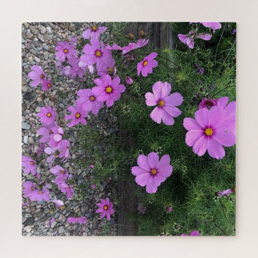 Kosmos-Blume mit Kies Puzzle (Horizontal)