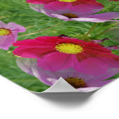 Kosmos-Blumen Abstrakte Natur Poster (Ecke)