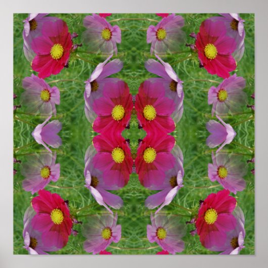 Kosmos-Blumen Abstrakte Natur Poster (Vorne)
