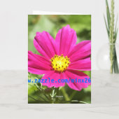 Kosmos-Blumen-Geburtstags-Karte Karte (Rückseite)