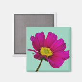 Kosmos-Blumenmagnet Magnet (Vorderseite/Rückseite)