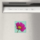 Kosmos-Blumenmagnet Magnet (In Situ (Geschirrspüler))