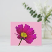 Kosmos-Blumenpostkarte Feiertagspostkarte (Stehend Vorderseite)