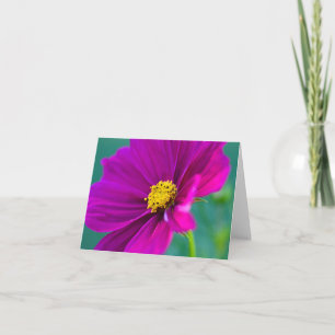 Kosmos-Blüten-Grußkarte in Lila Karte