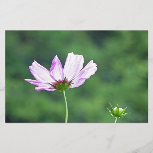 Kosmos Briefpapier (Vorderseite)