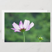 Kosmos Briefpapier (Vorne/Hinten)