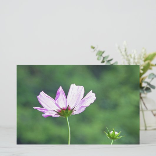 Kosmos Briefpapier (Stehend Vorderseite)