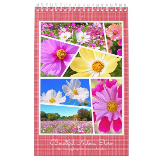 Kosmos Calendar レ ダ Kalender (Rückseite)