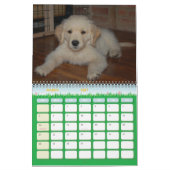 Kosmos erstes Jahr Kalender (Mär 2027)