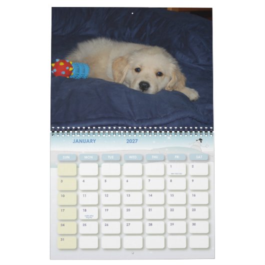 Kosmos erstes Jahr Kalender (Jan 2027)