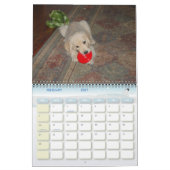 Kosmos erstes Jahr Kalender (Feb 2027)