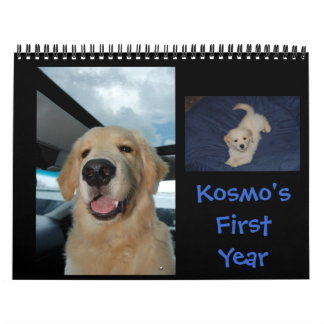 Kosmos erstes Jahr Kalender