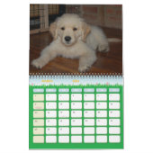 Kosmos erstes Jahr Kalender (Mär 2026)