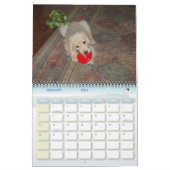 Kosmos erstes Jahr Kalender (Feb 2026)