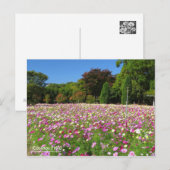 Kosmos-Feld:Postkarte Postkarte (Vorne/Hinten)