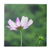 Kosmos Fliese (Vorderseite)