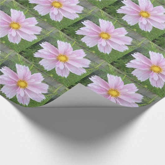 Kosmos - Hellrosa und grüner ECHO-DRUCK - Geschenkpapier (Ecke)