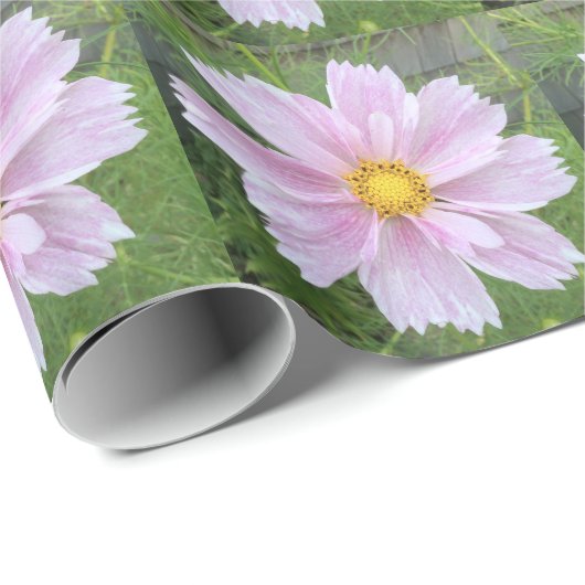 Kosmos - Hellrosa und grüner ECHO-DRUCK - Geschenkpapier (Rolleneckpunkt)