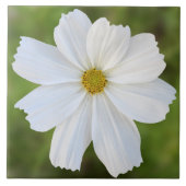 Kosmos-Keramik-Fliese Fliese (Vorderseite)